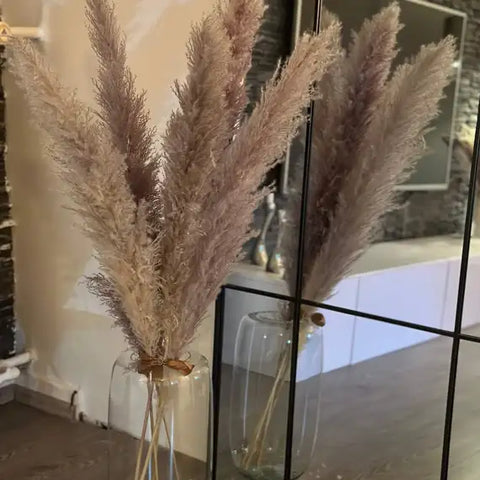 Pampasgræs Viola (Grå/brune)