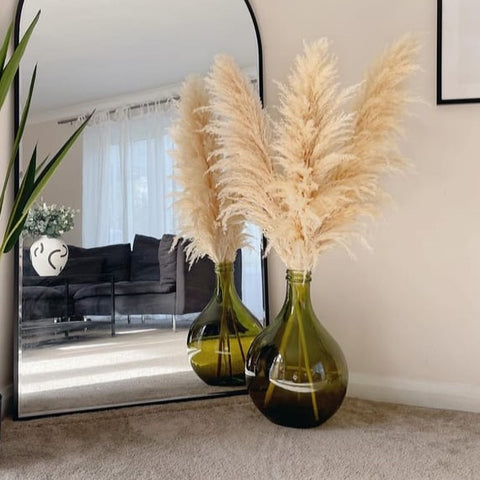 Pampasgræs - Viola Fluffy Beige