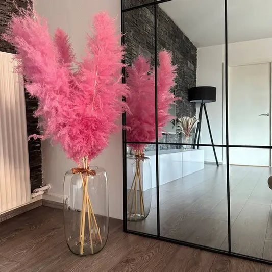 Pampasgræs Viola - (Lyserød)